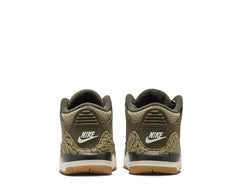 Air Jordan 3 Retro TD "Family Affair"